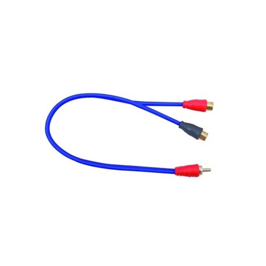 AIV 890703 Y RCA